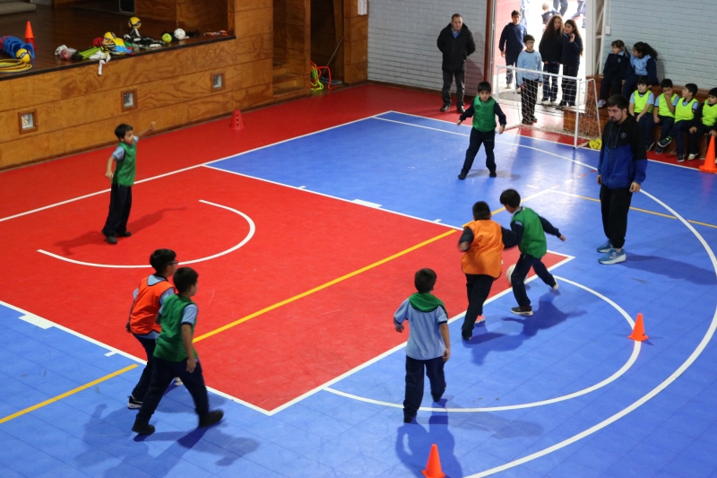 Día de la Actividad Física